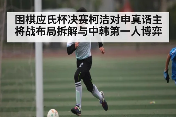 围棋应氏杯决赛柯洁对申真谞主将战布局拆解与中韩第一人博弈